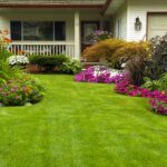 Why You Need to Maintain Your Lawn