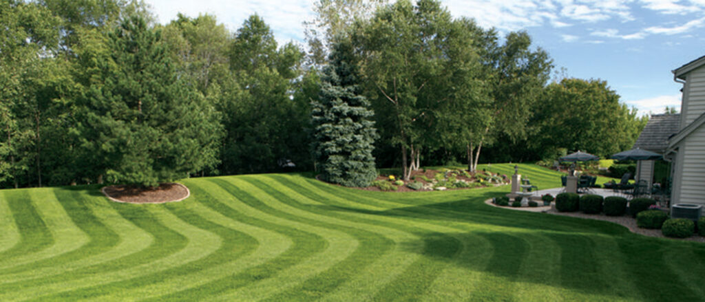 Why You Need to Maintain Your Lawn